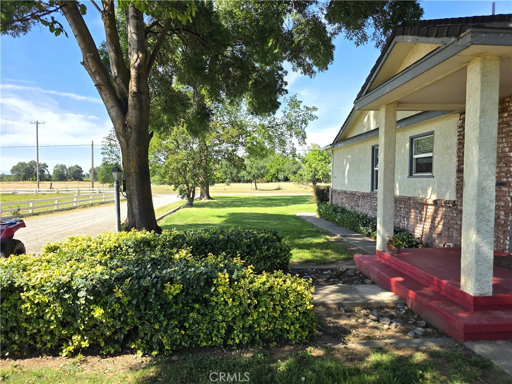 23773 River Road Corning, CA 96021 - Photo 29 of 64 a view of a yard with plants and large trees