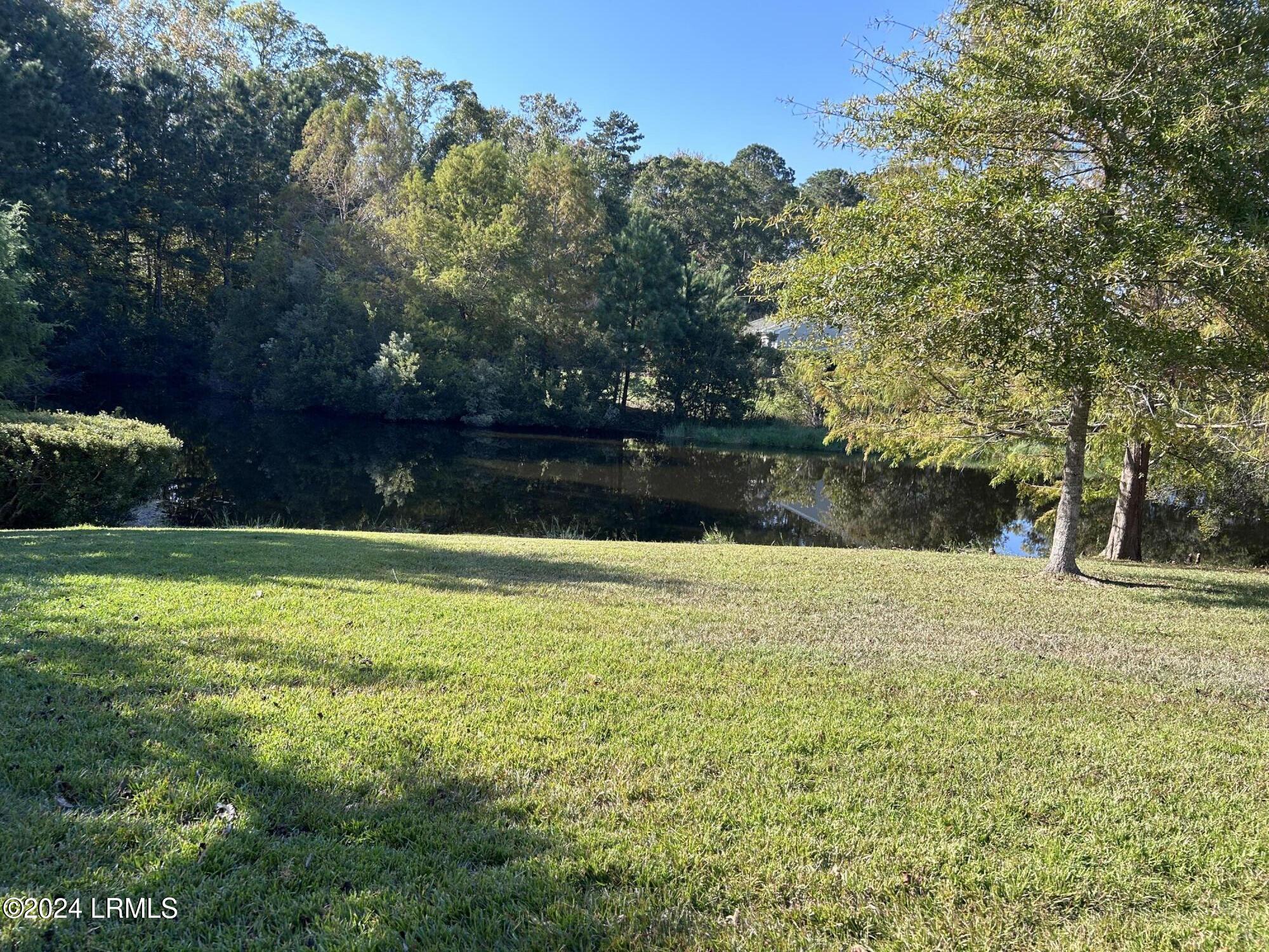 14 Biltmore Drive Bluffton, SC 29909 - Photo 4 of 17 IMG_1943