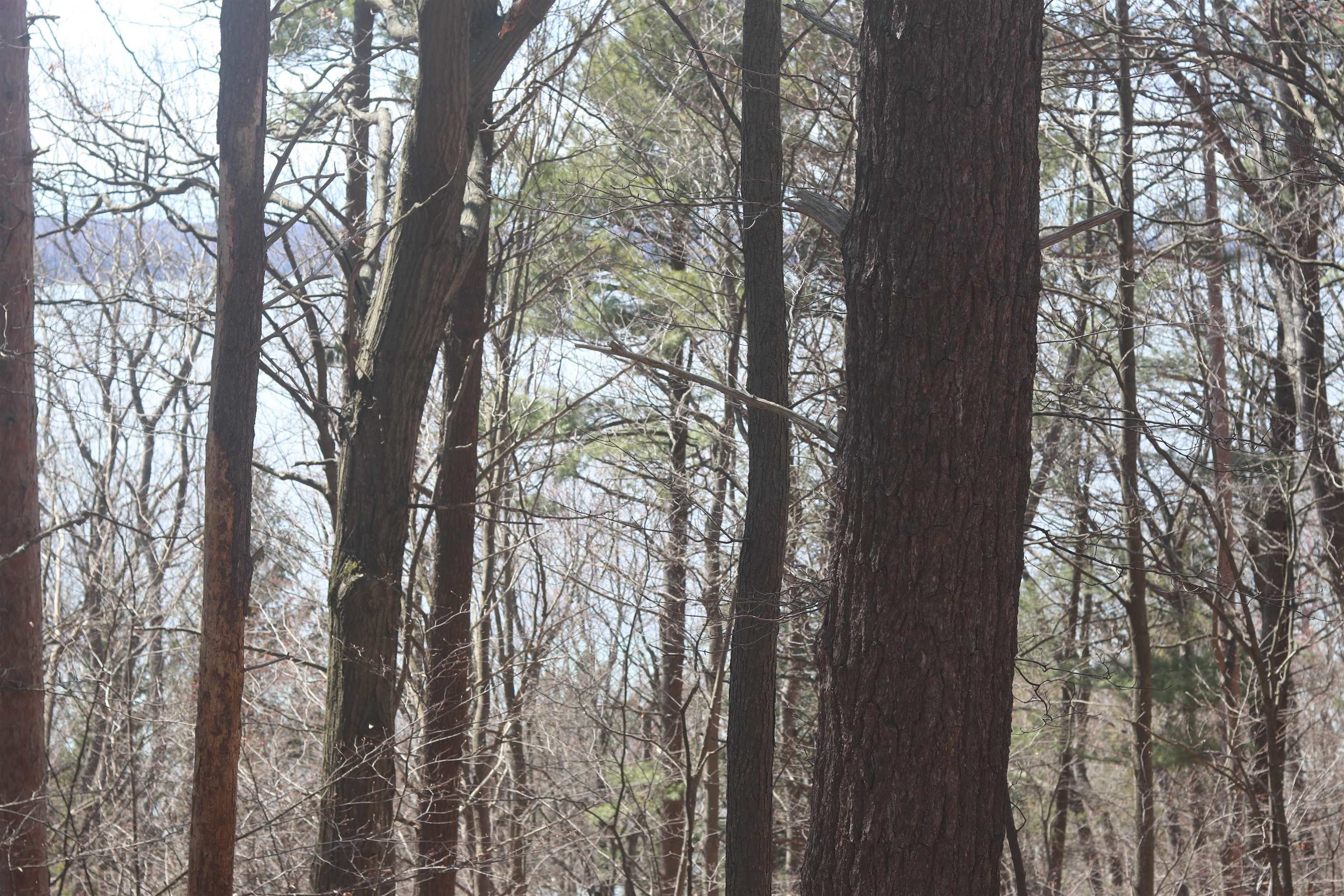 Lot 5 Crystal View Common Frankfort, MI 49635 - Photo 1 of 15