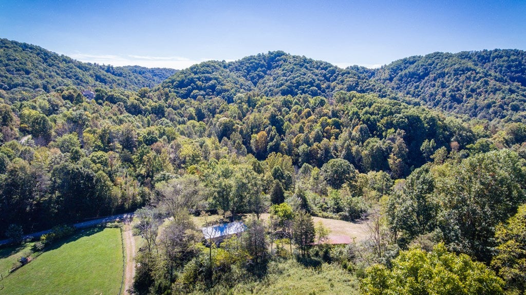 6299 Walnut Grove Road Mendota, VA 24270 - Photo 2 of 29 Gallery Image 2