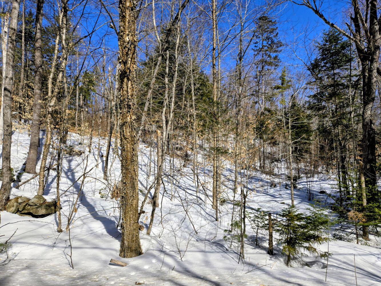 Lot 10 Staples Pond Road Temple, ME 04984 - Photo 11 of 37 20260303_103442~2_result