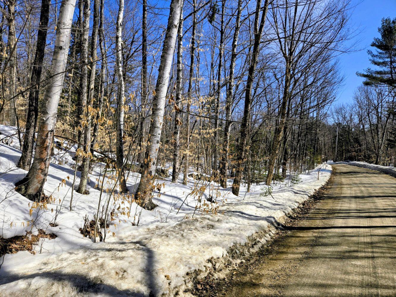 Lot 10 Staples Pond Road Temple, ME 04984 - Photo 13 of 37 20260303_103515~2_result