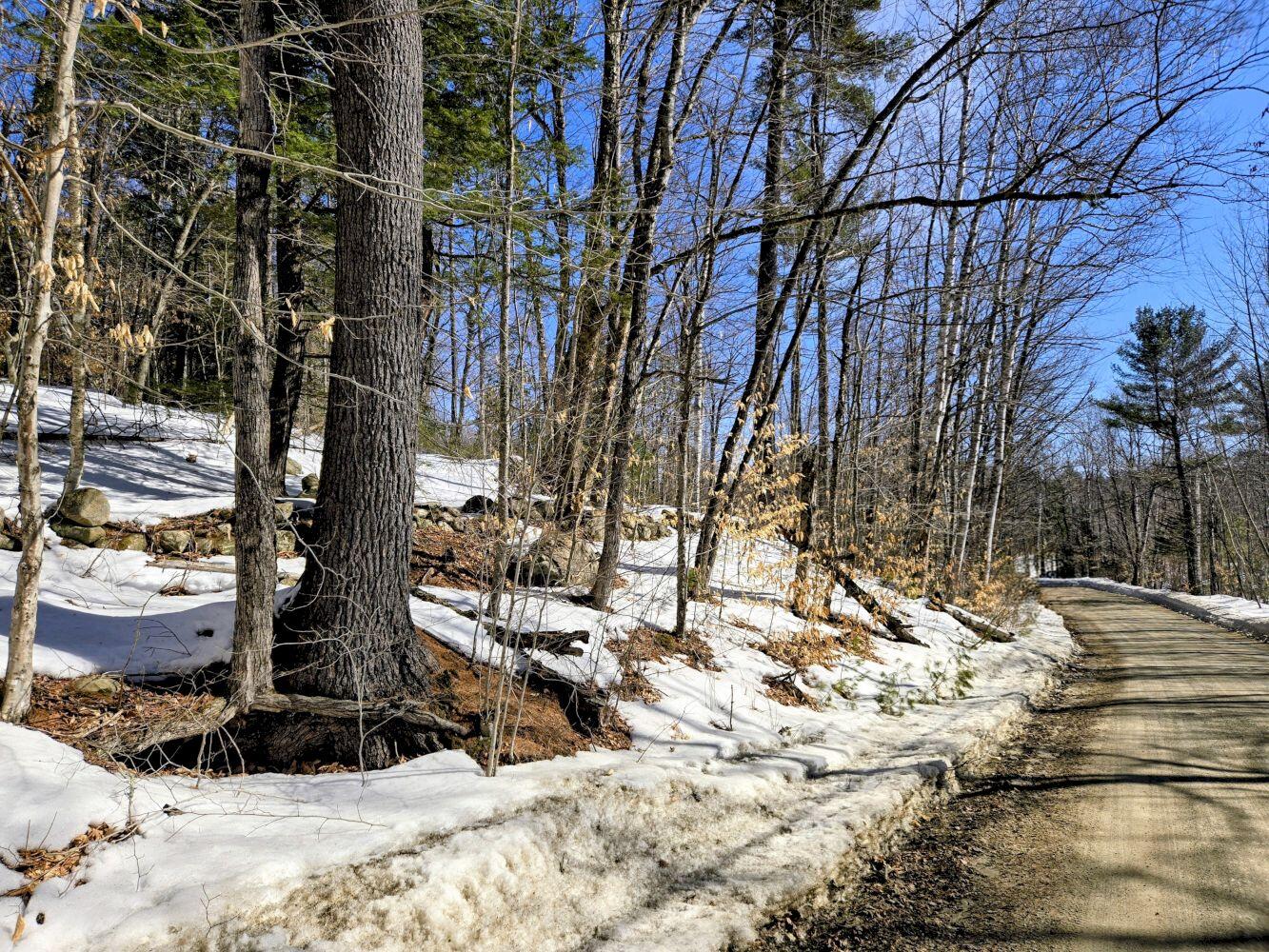 Lot 10 Staples Pond Road Temple, ME 04984 - Photo 14 of 37 20260303_103540~2_result