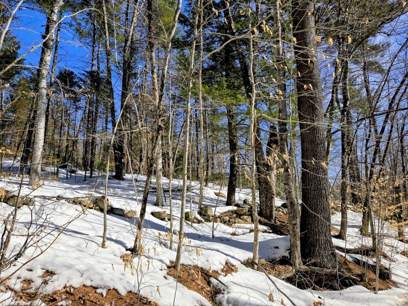 Lot 10 Staples Pond Road Temple, ME 04984 - Photo 15 of 37 20260303_103559~2_result