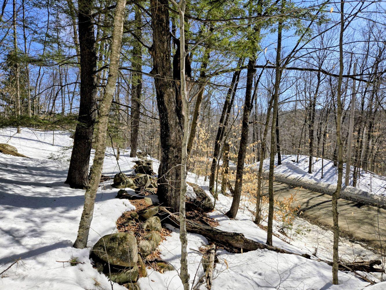 Lot 10 Staples Pond Road Temple, ME 04984 - Photo 16 of 37 20260303_103622~2_result