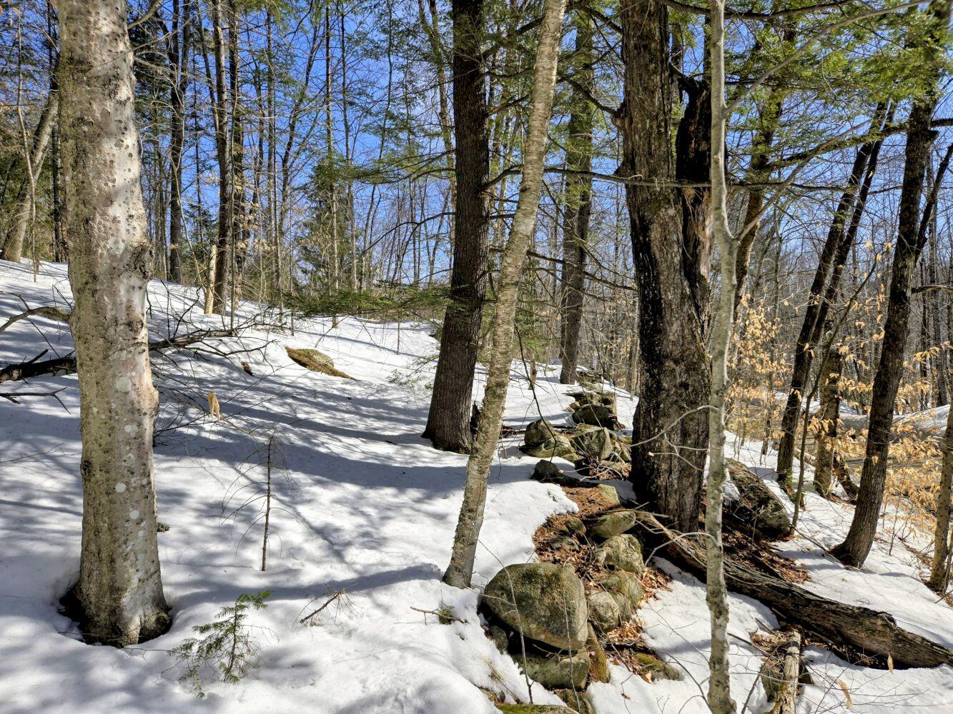 Lot 10 Staples Pond Road Temple, ME 04984 - Photo 17 of 37 20260303_103625~2_result