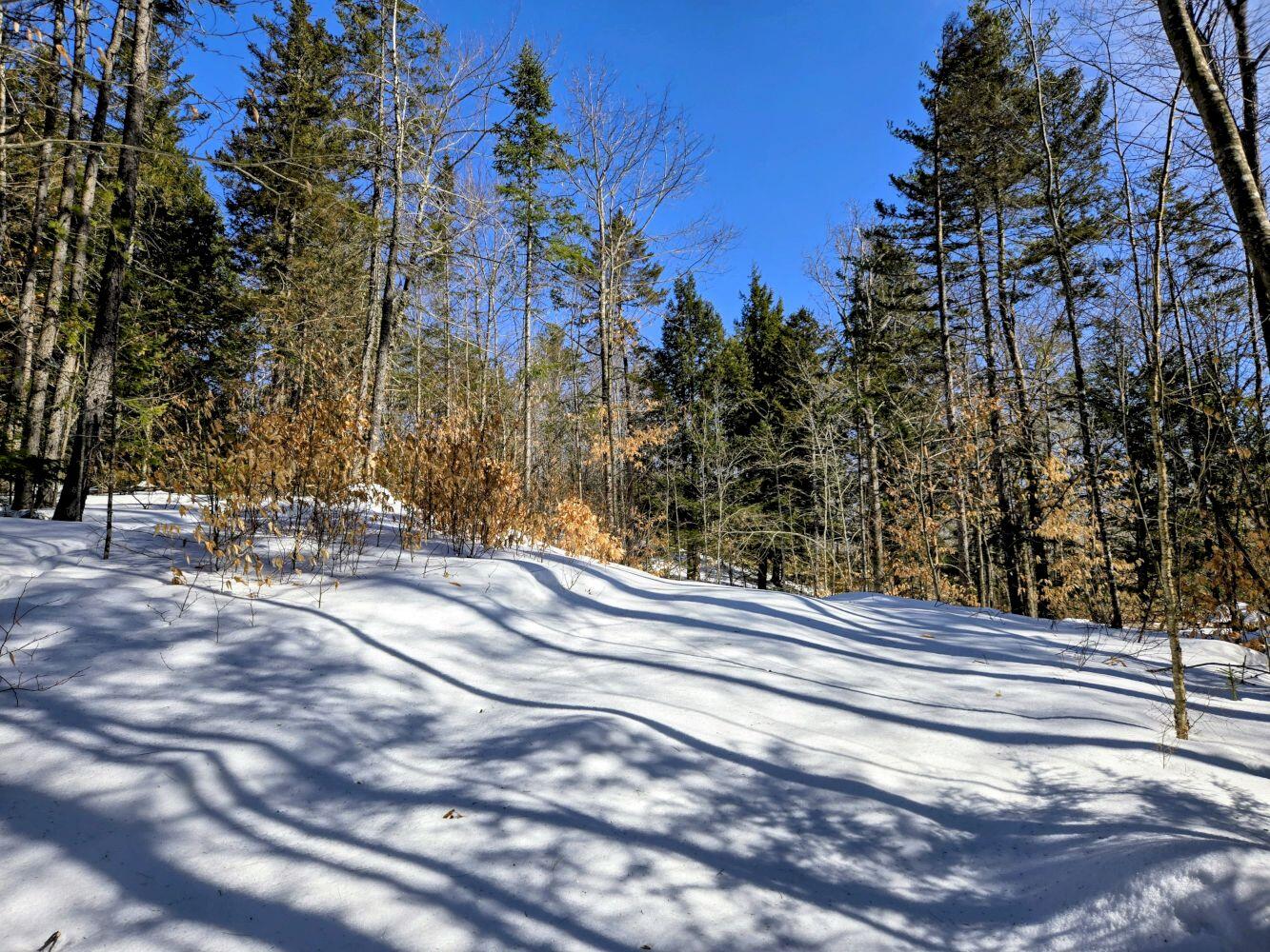 Lot 10 Staples Pond Road Temple, ME 04984 - Photo 19 of 37 20260303_103700~2_result