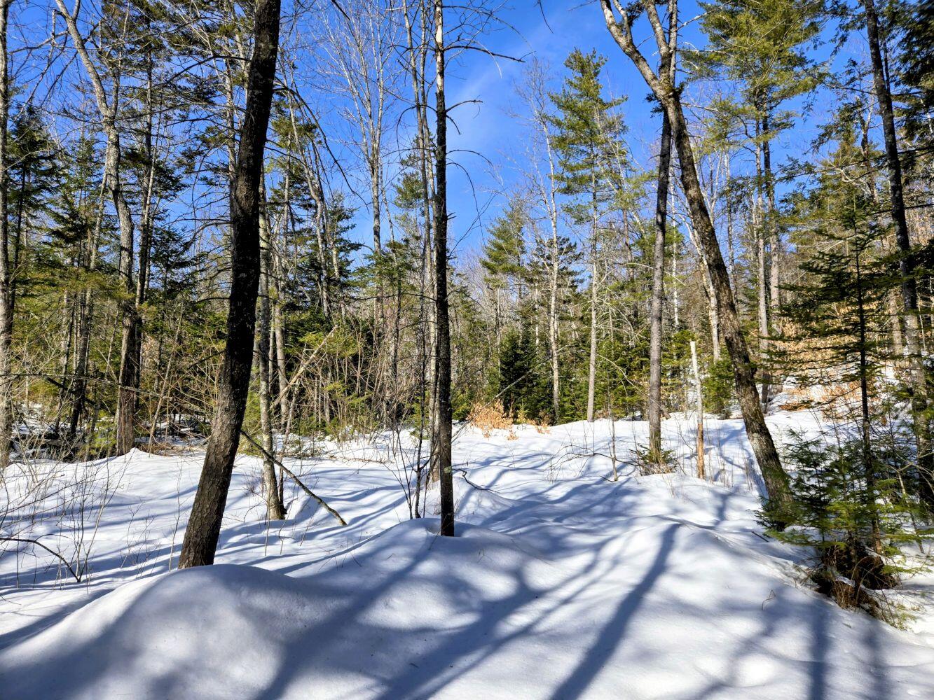 Lot 10 Staples Pond Road Temple, ME 04984 - Photo 20 of 37 20260303_103904~2_result