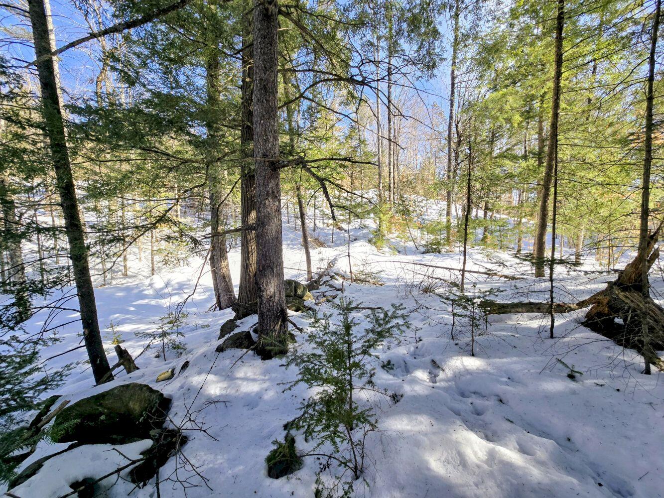 Lot 10 Staples Pond Road Temple, ME 04984 - Photo 23 of 37 20260303_104044~2_result