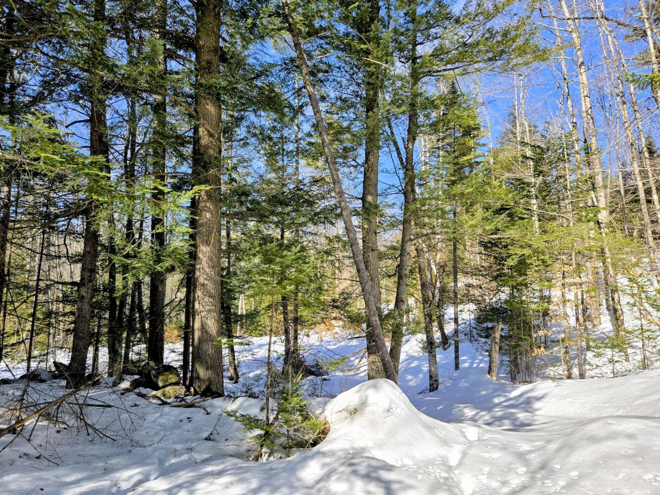 Lot 10 Staples Pond Road Temple, ME 04984 - Photo 25 of 37 20260303_104121~2_result