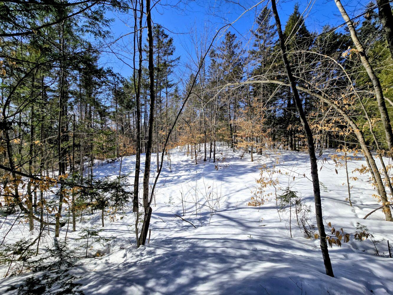 Lot 10 Staples Pond Road Temple, ME 04984 - Photo 26 of 37 20260303_104159~2_result