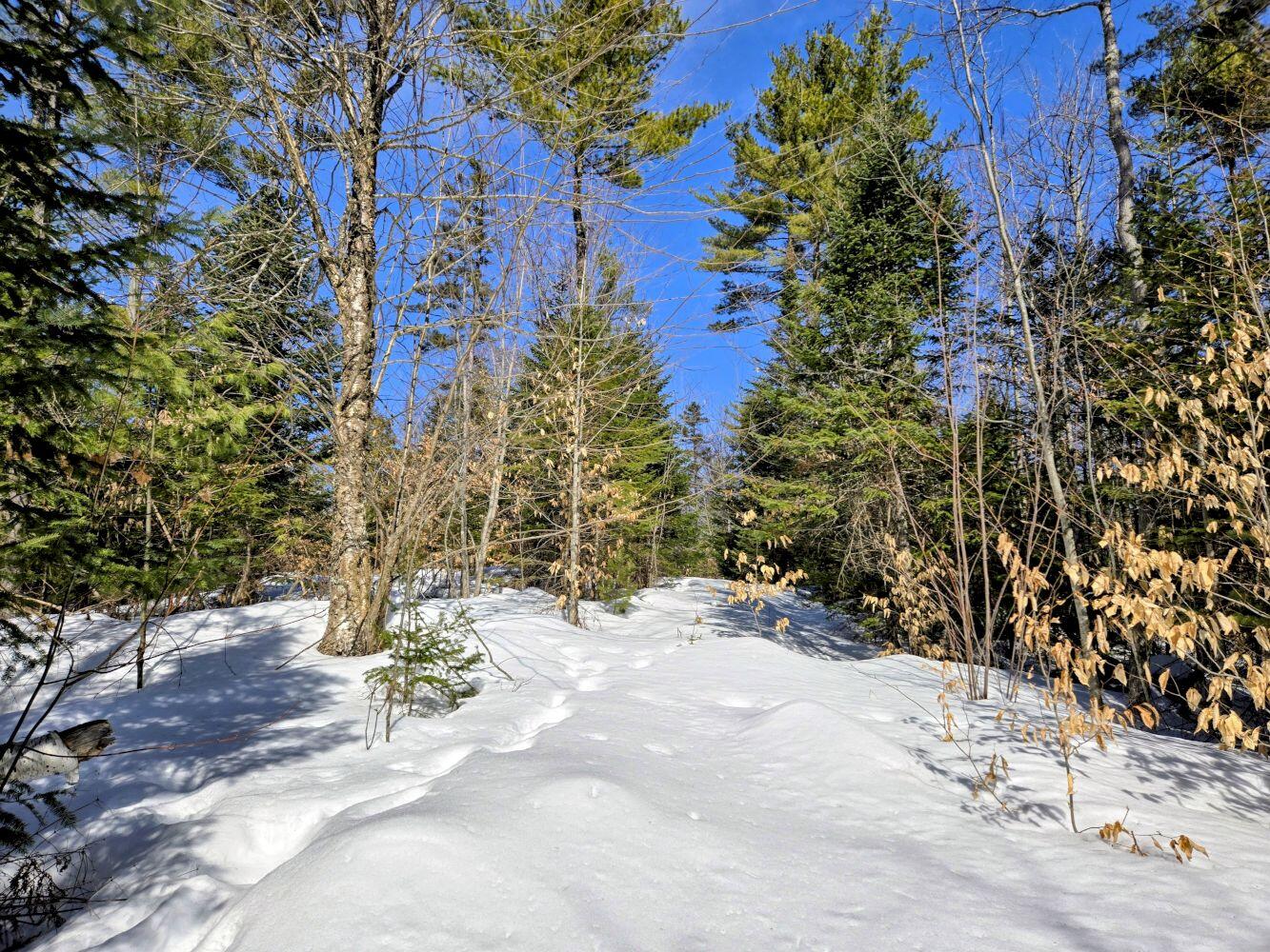 Lot 10 Staples Pond Road Temple, ME 04984 - Photo 27 of 37 20260303_104338~2_result