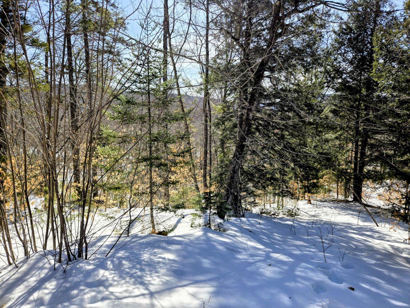 Lot 10 Staples Pond Road Temple, ME 04984 - Photo 28 of 37 20260303_104346~2_result