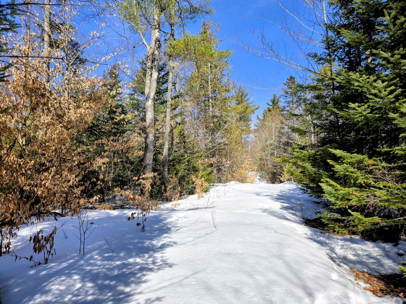 Lot 10 Staples Pond Road Temple, ME 04984 - Photo 30 of 37 20260303_104502~2_result