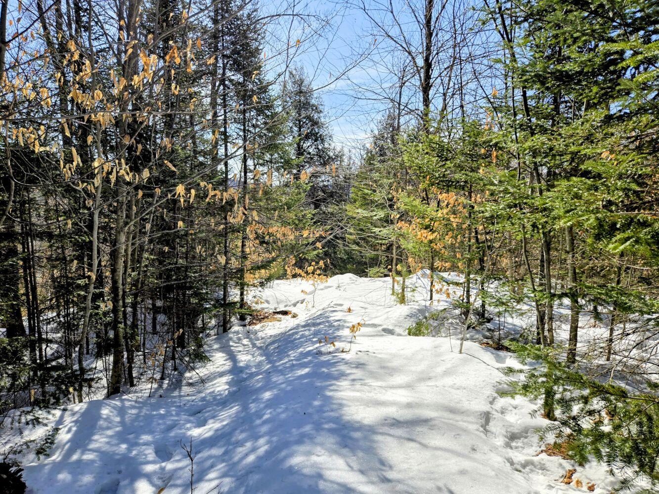 Lot 10 Staples Pond Road Temple, ME 04984 - Photo 31 of 37 20260303_104506~2_result