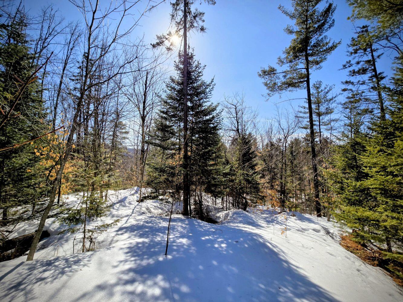 Lot 10 Staples Pond Road Temple, ME 04984 - Photo 33 of 37 20260303_104612~2_result