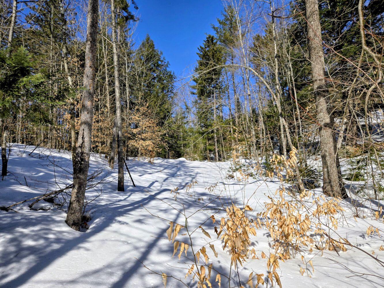 Lot 10 Staples Pond Road Temple, ME 04984 - Photo 36 of 37 20260303_104951~2_result