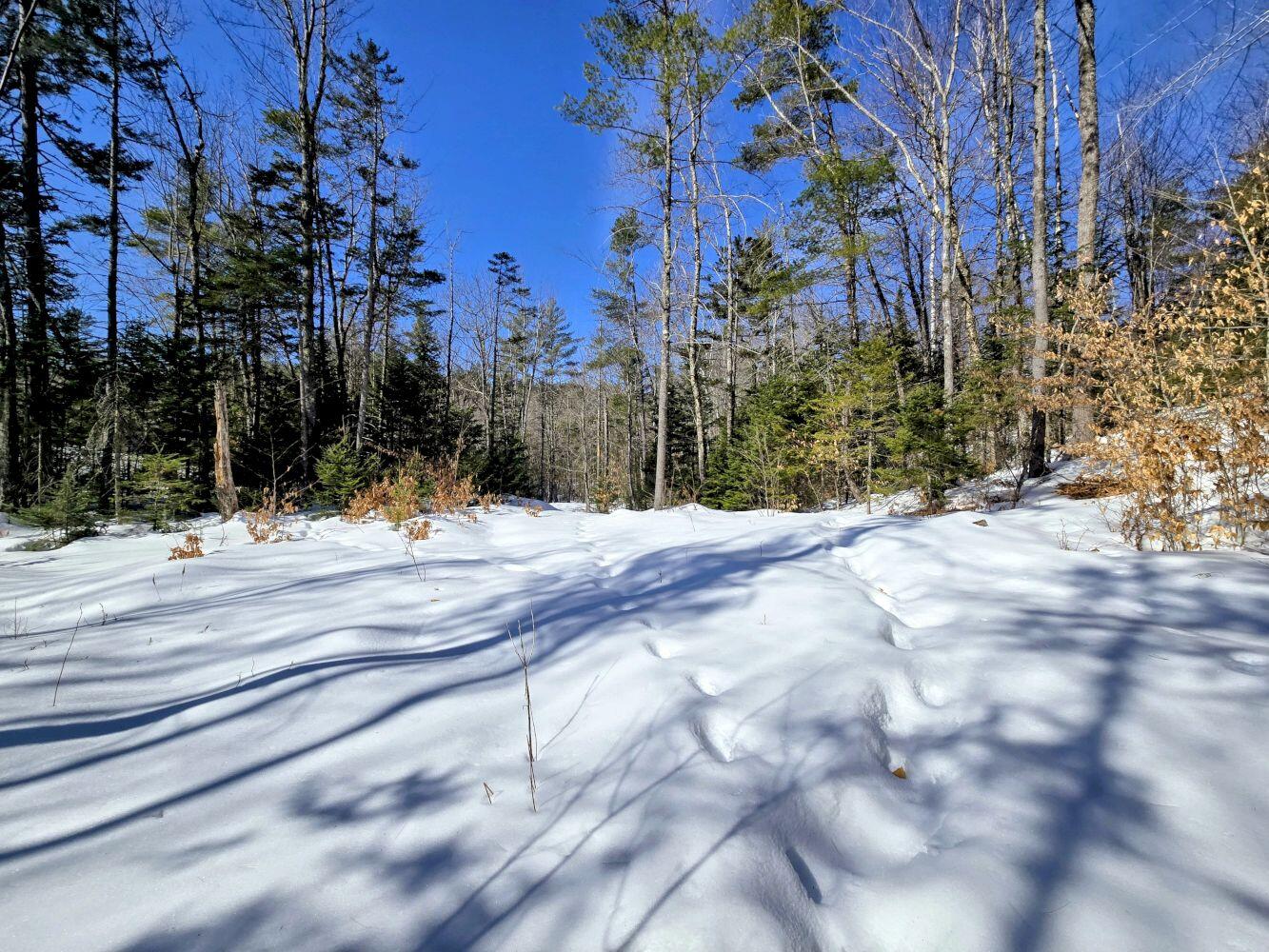 Lot 10 Staples Pond Road Temple, ME 04984 - Photo 41 of 56 20260303_104001~2_result