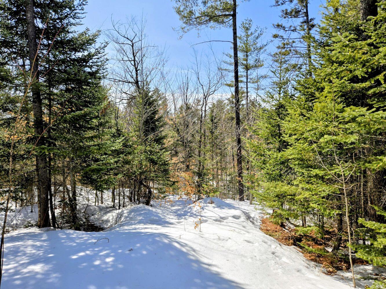 Lot 10 Staples Pond Road Temple, ME 04984 - Photo 53 of 56 20260303_104620~2_result