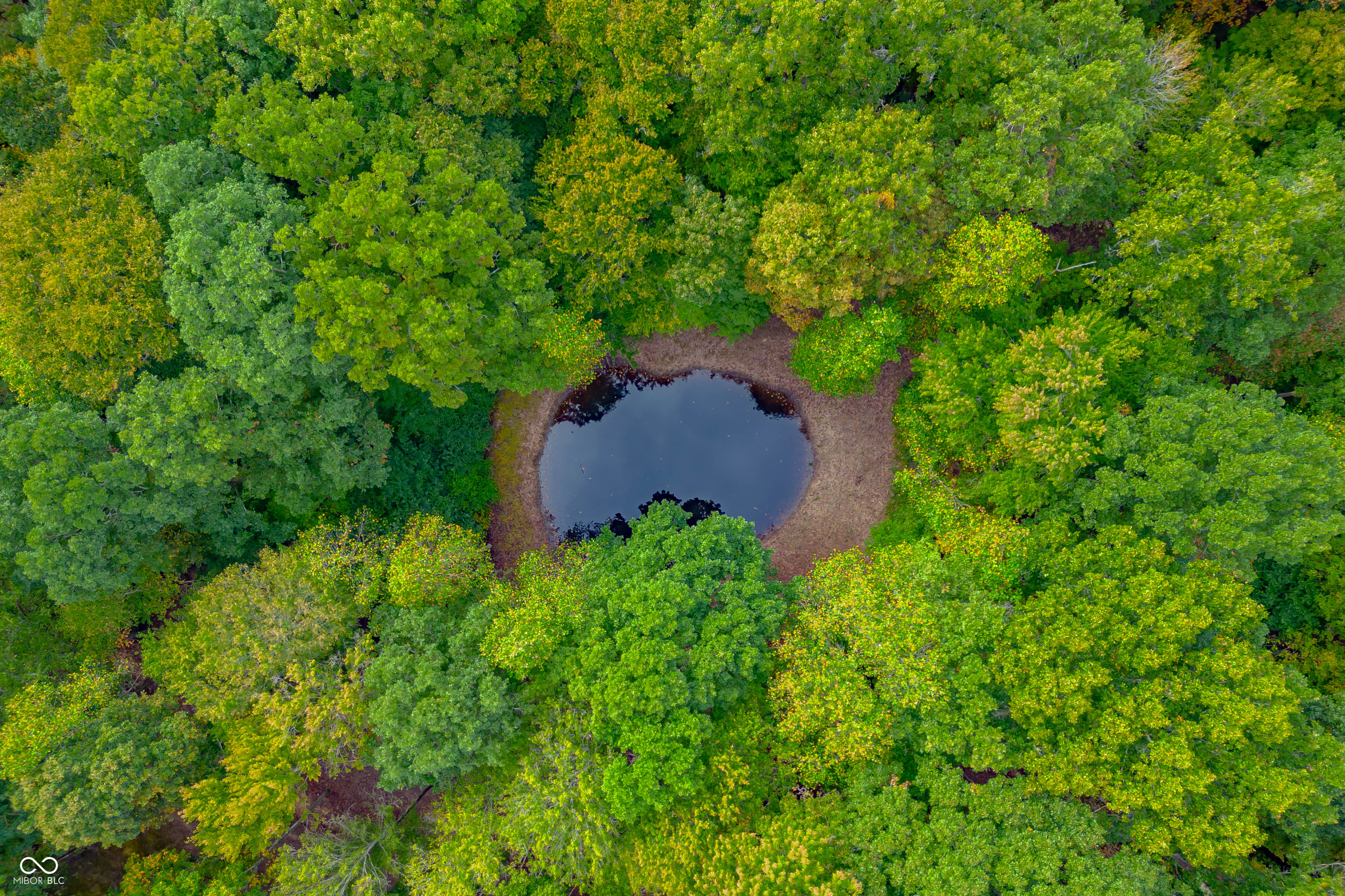 5998 Bear Creek Road Morgantown, IN 46160 - Photo 109 of 165