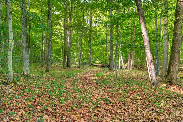 $1,250,000 | 5998 Bear Creek Road, Morgantown, IN 46160