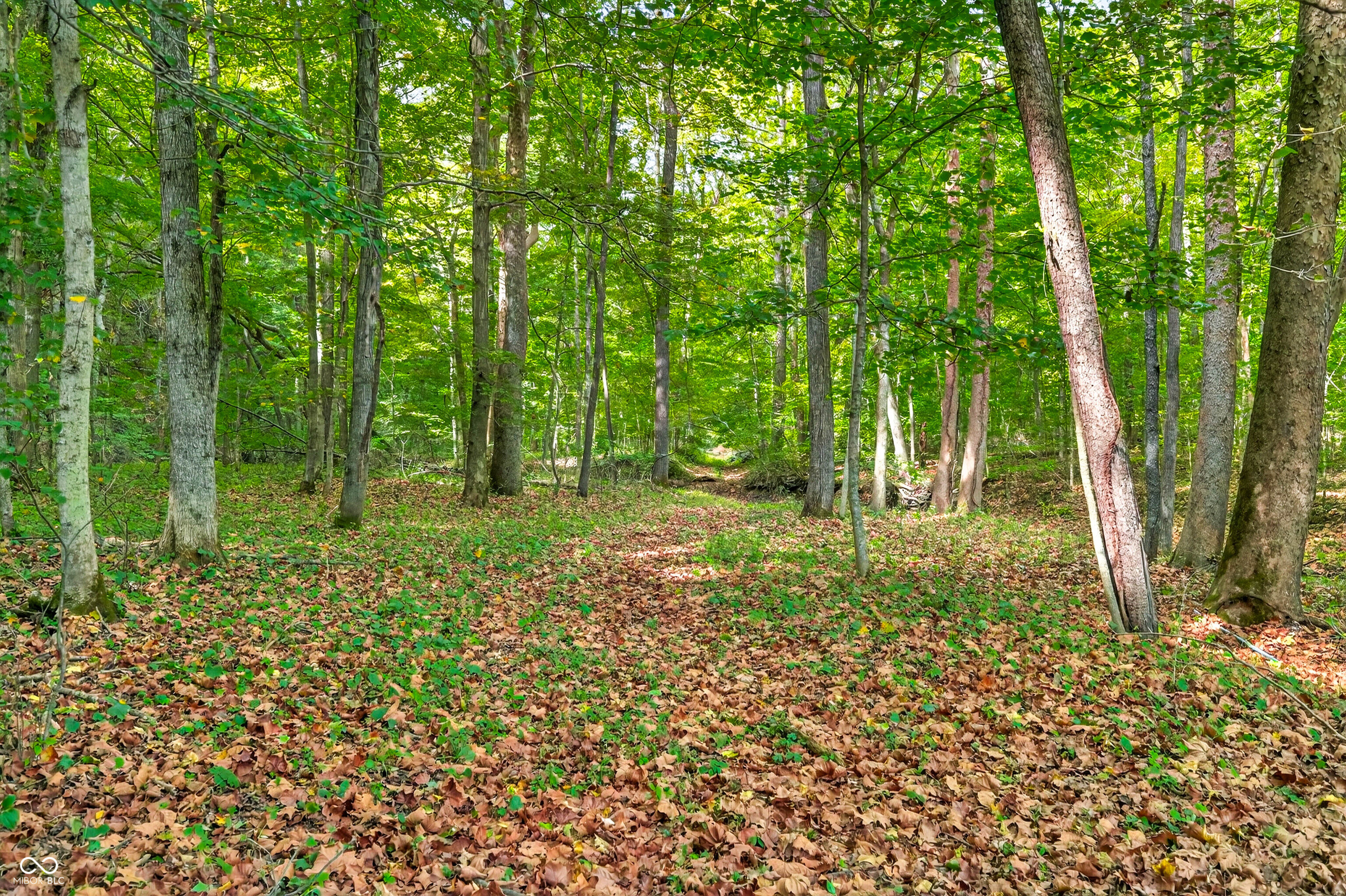 5998 Bear Creek Road Morgantown, IN 46160 - Photo 132 of 165