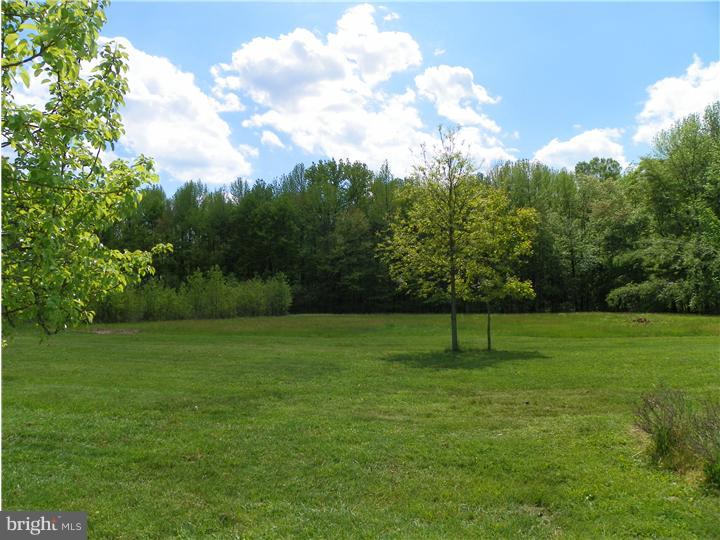 115 Hankins Road Hightstown, NJ 08520 - Photo 20 of 23 Gallery Image 20