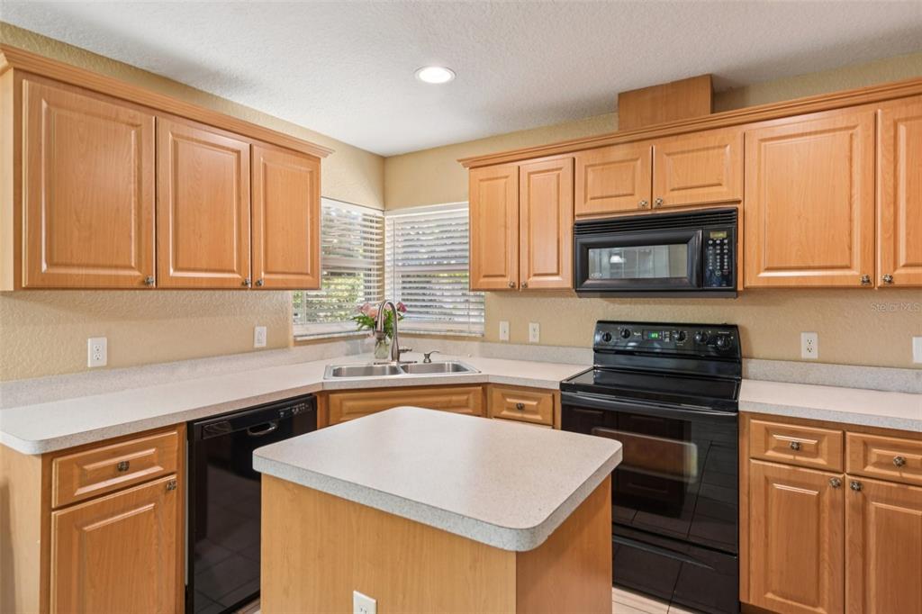 6633 Hone Street New Port Richey, FL 34653 - Photo 7 of 22