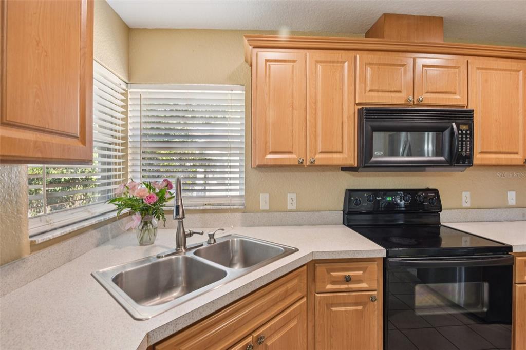 6633 Hone Street New Port Richey, FL 34653 - Photo 8 of 22