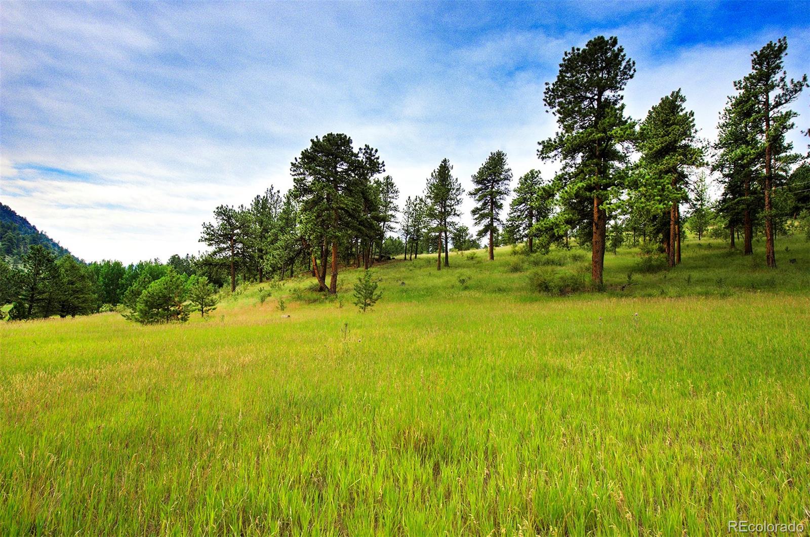14424 Reserve Road Pine, CO 80470 - Photo 1 of 14 Gallery Image 1