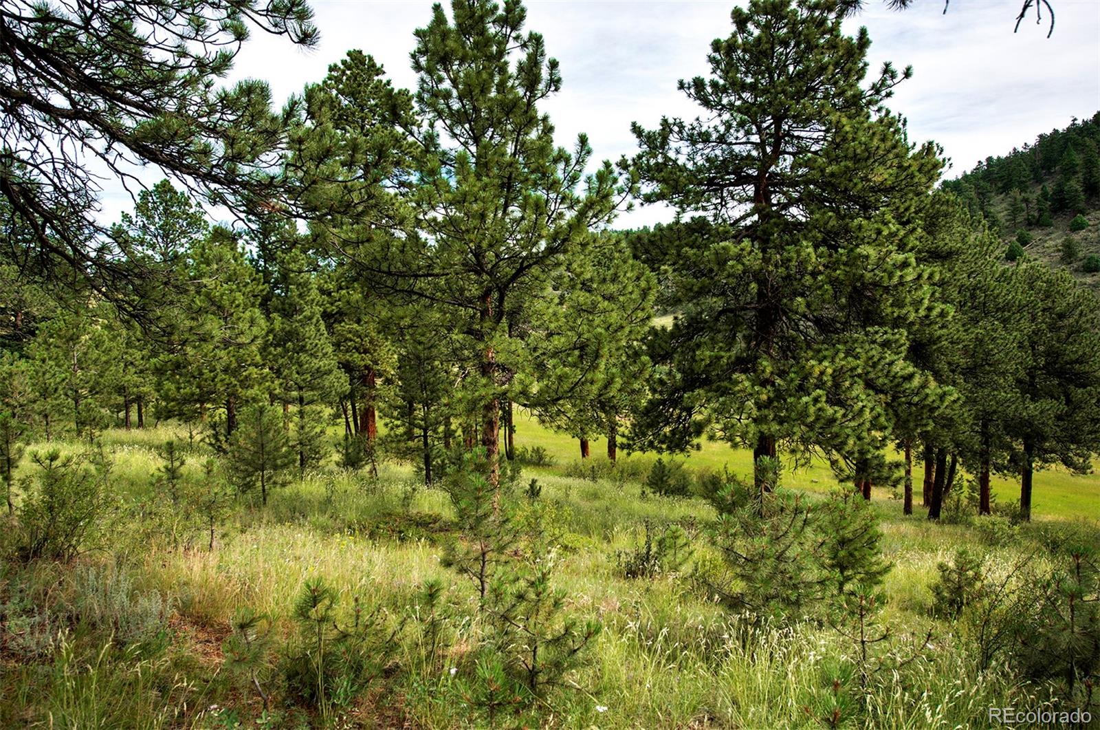 14424 Reserve Road Pine, CO 80470 - Photo 11 of 14 Gallery Image 11