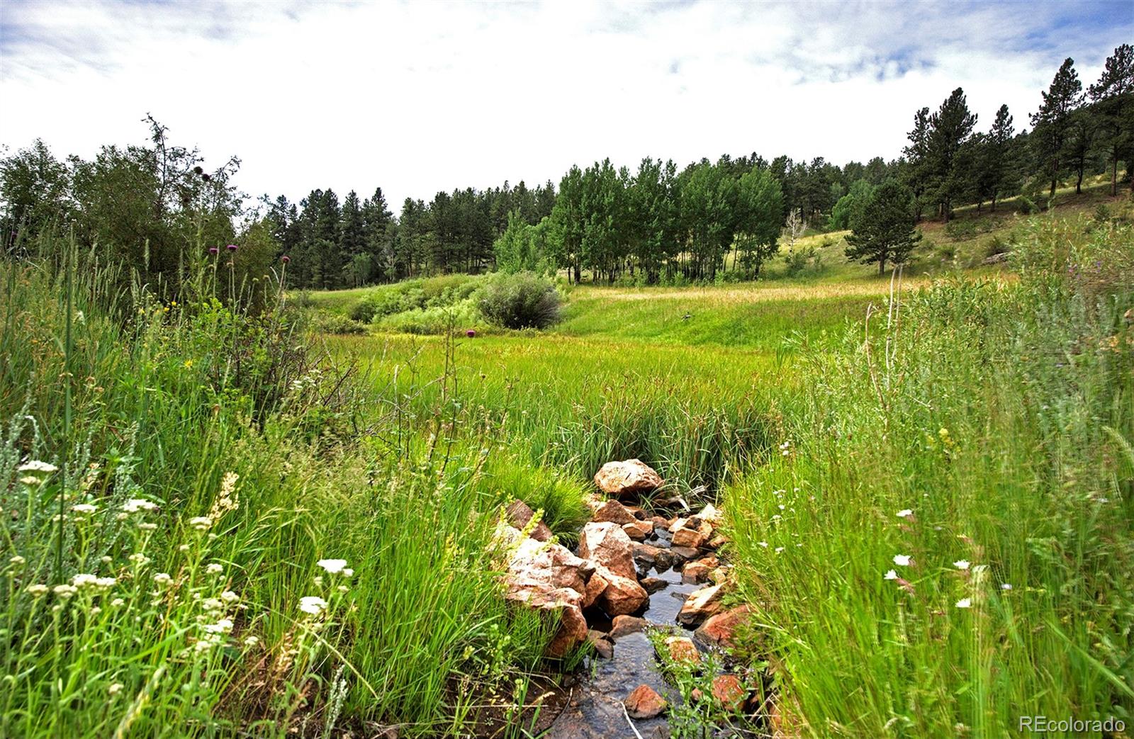 14424 Reserve Road Pine, CO 80470 - Photo 2 of 14 Gallery Image 2