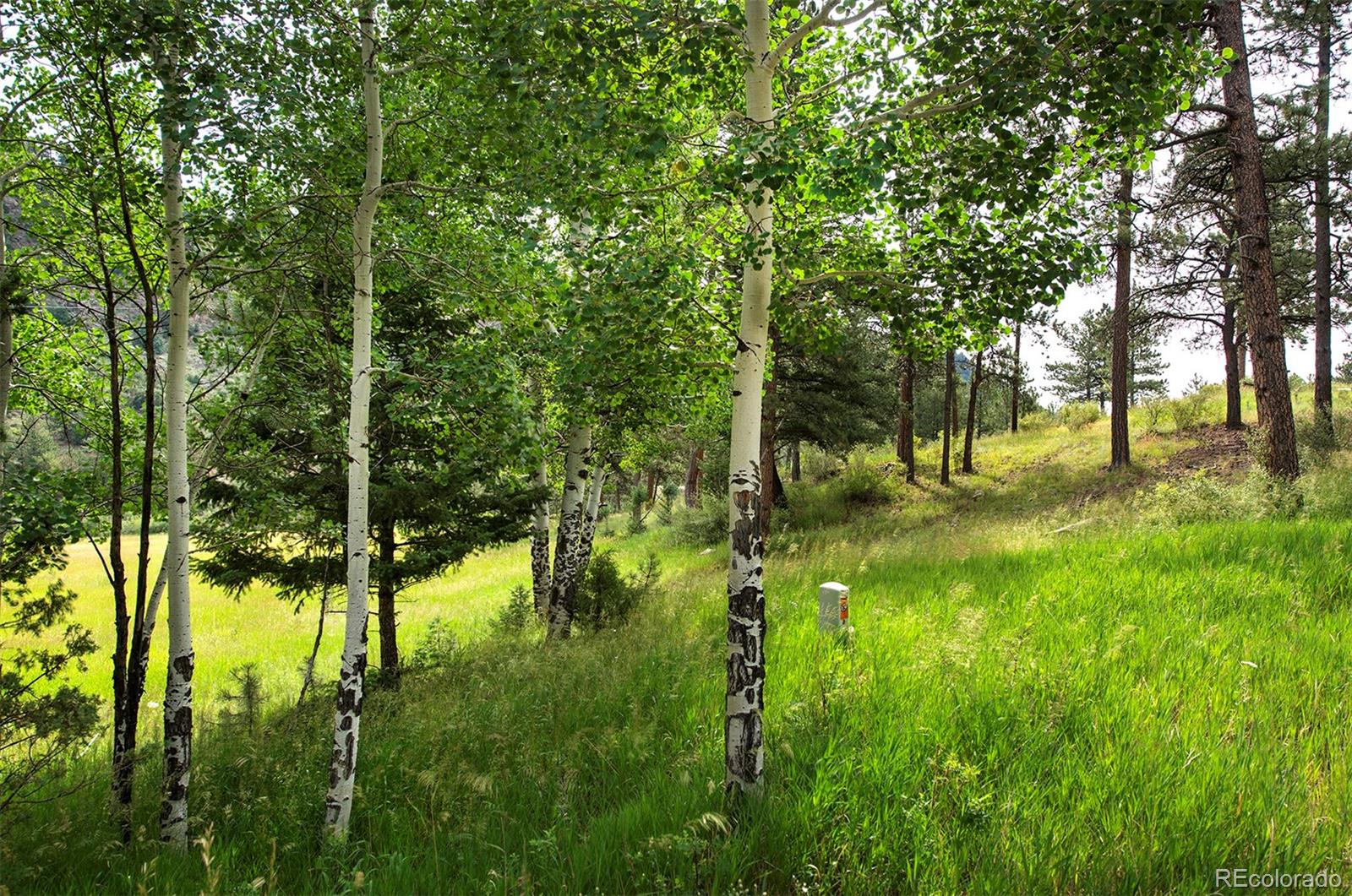 14424 Reserve Road Pine, CO 80470 - Photo 8 of 14 Gallery Image 8