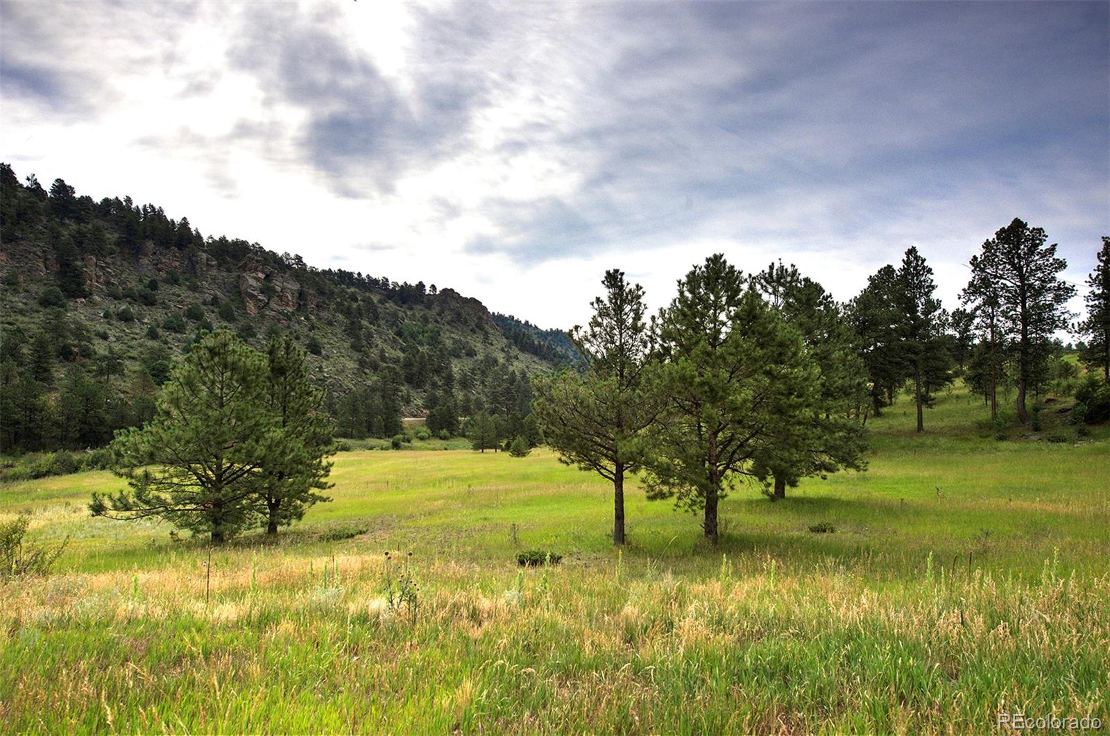 14424 Reserve Road Pine, CO 80470 - Photo 9 of 14 Gallery Image 9