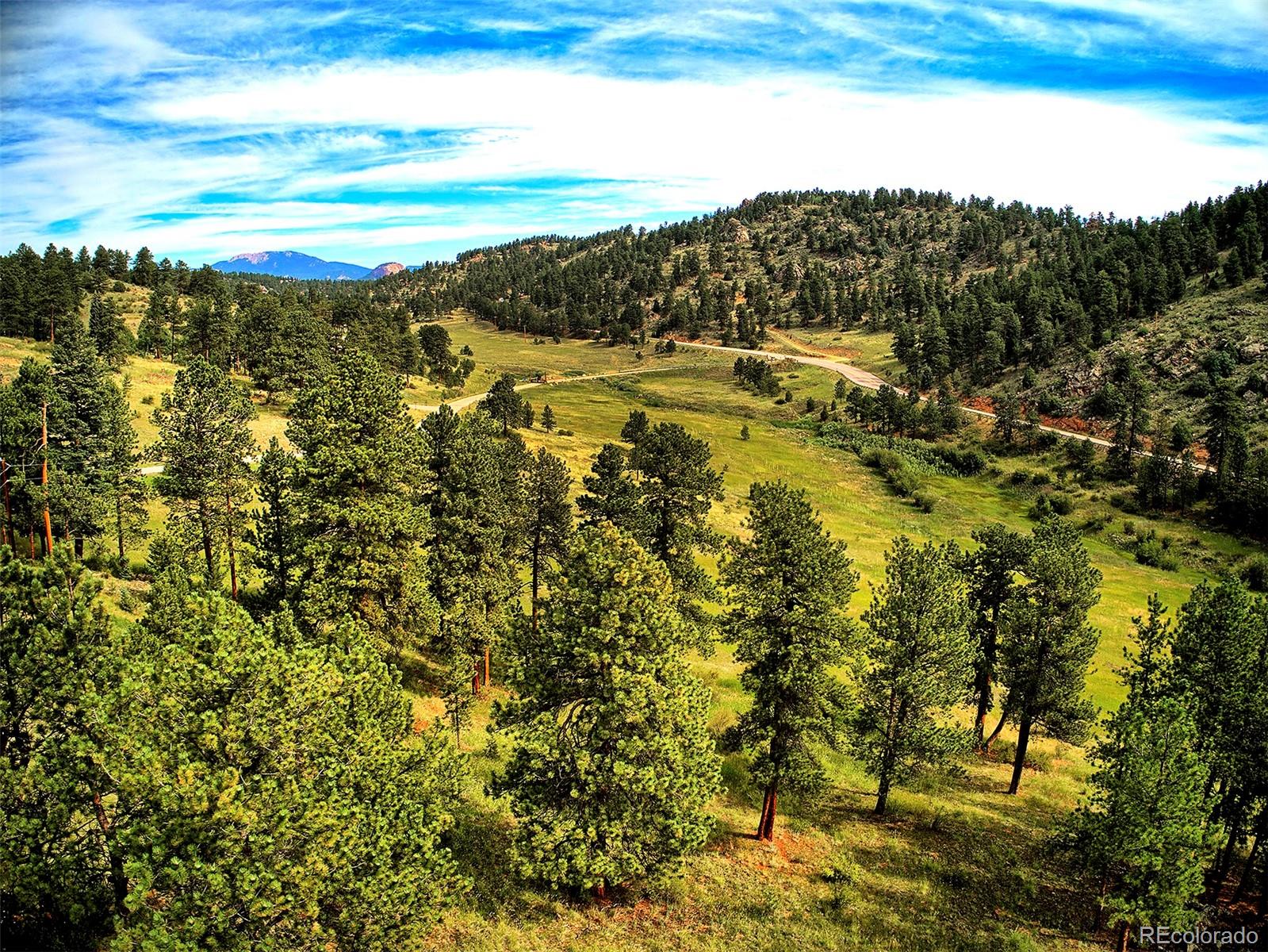 14424 Reserve Road Pine, CO 80470 - Photo 10 of 14 Gallery Image 10