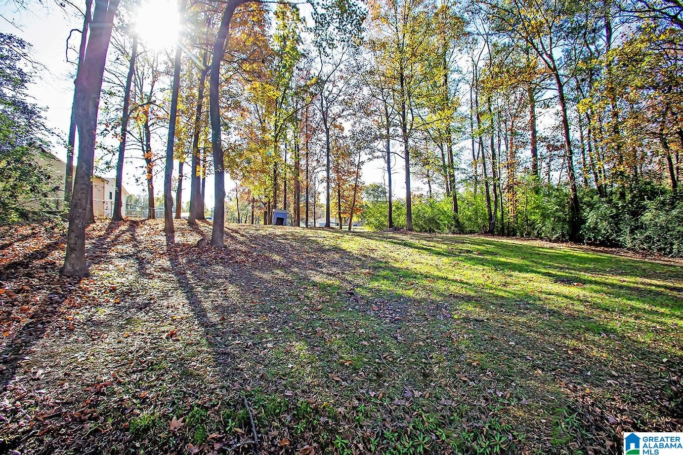 165 2nd Street Sumiton, AL 35148 - Photo 49 of 50