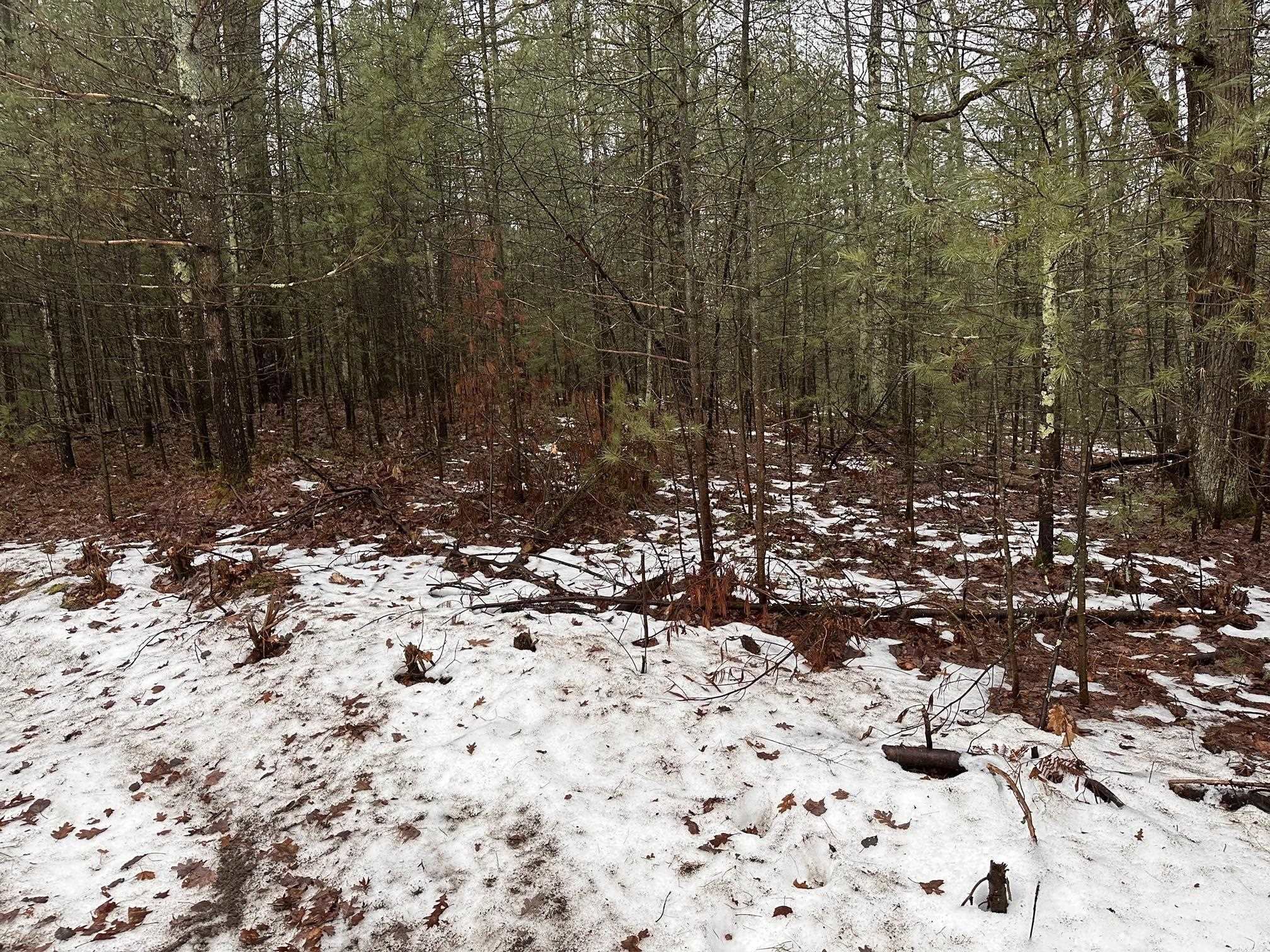 B Albrecht Road Interlochen, MI 49643 - Photo 2 of 6