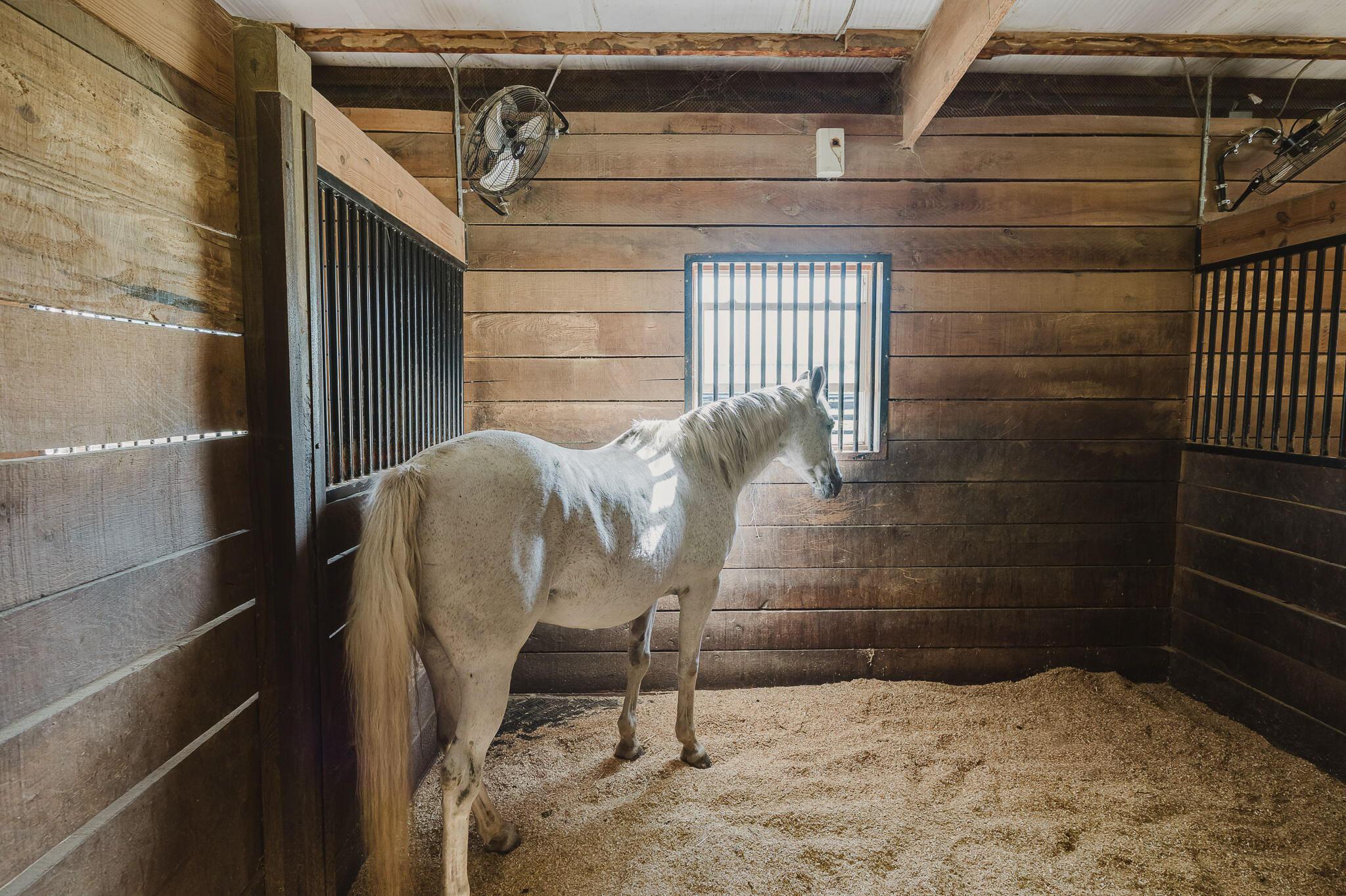4620 Cackler Road Delaware, OH 43015 - Photo 74 of 98 Stables