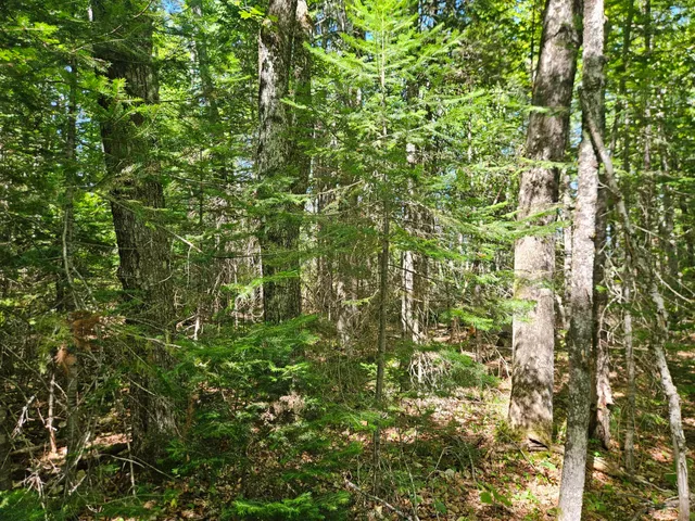 $114,900 | 212 Packard Road, Monson, ME 04464