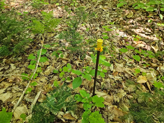 $114,900 | 212 Packard Road, Monson, ME 04464