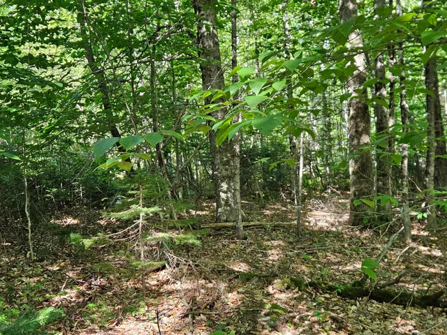 $114,900 | 212 Packard Road, Monson, ME 04464