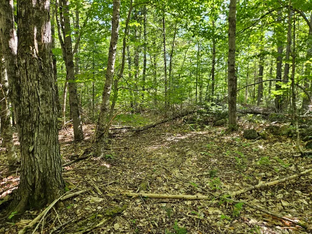 $114,900 | 212 Packard Road, Monson, ME 04464