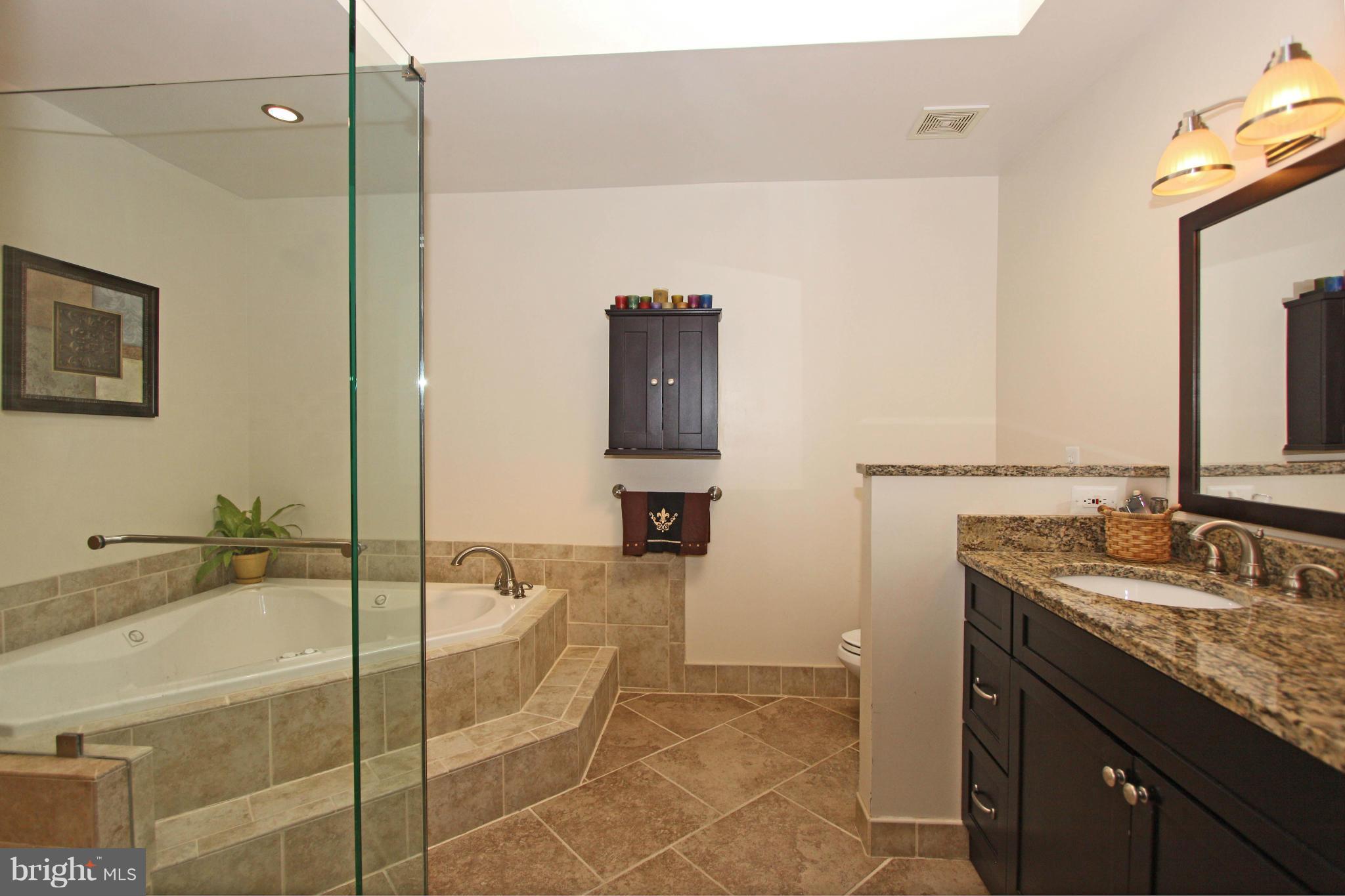 1320 Pavilion Club Way Reston, VA 20194 - Photo 17 of 30 Bath (Master)