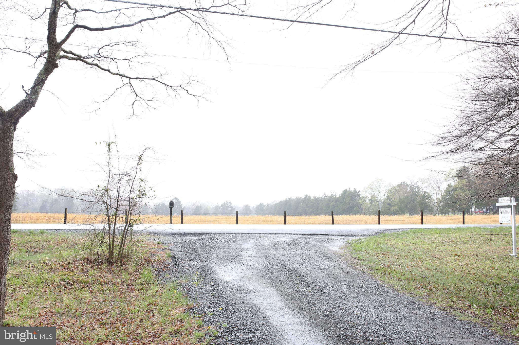 5391 Balls Mill Road Midland, VA 22728 - Photo 4 of 17 Gallery Image 4