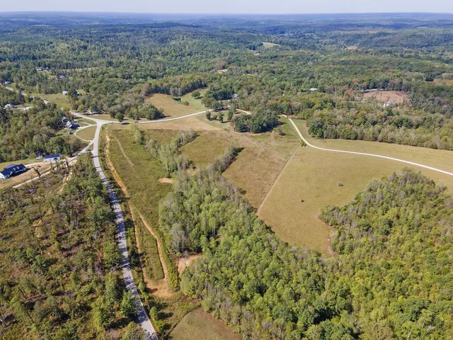 a view of city and mountain