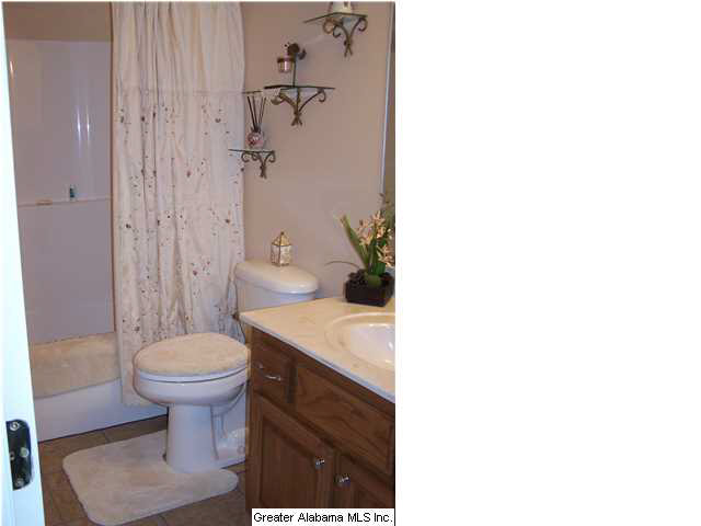2066 Zion Hill Road Horton, AL 35980 - Photo 27 of 32