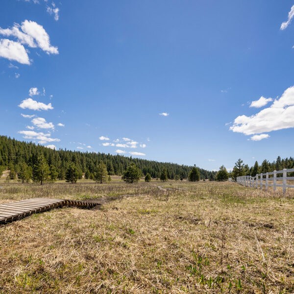 Lot 28 To Be Determined, Unit 28 McCall, ID 83638 - Photo 2 of 2