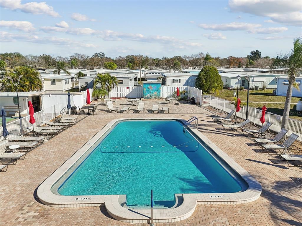 13225 101st Street Southeast, Unit 222 Largo, FL 33773 - Photo 73 of 73 a view of a swimming pool with lounge chairs