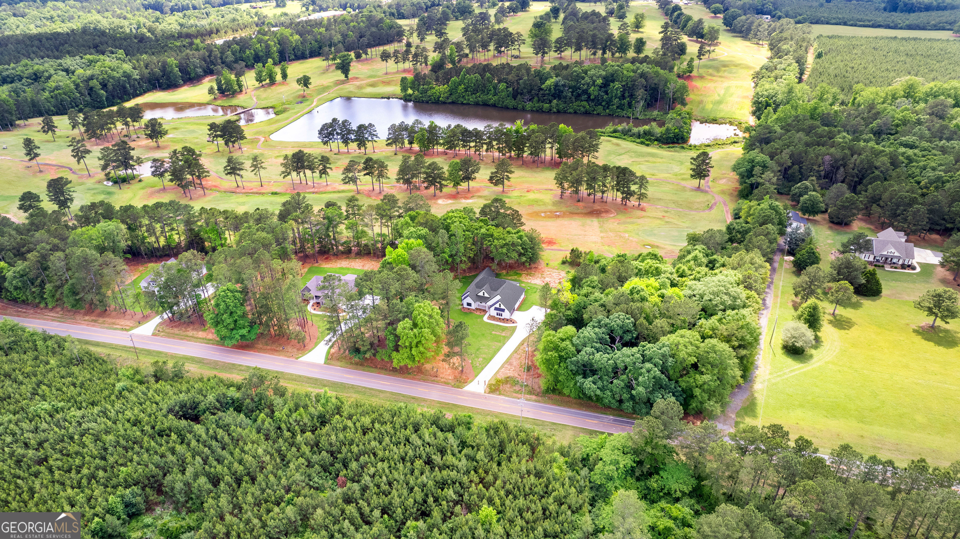1210 Waymanville Road Thomaston, GA 30286 - Photo 2 of 45 a view of lake