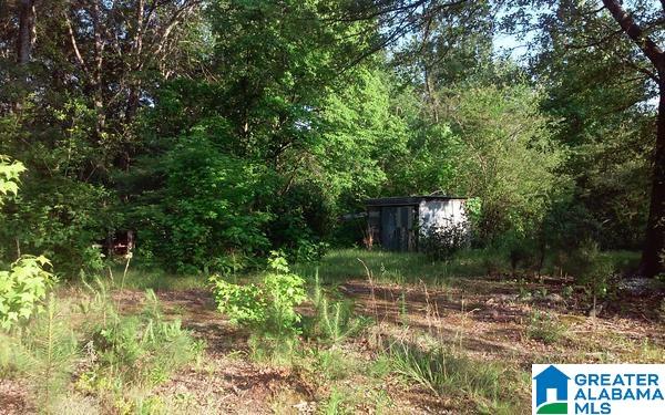 82 County Road, Unit 18 Wedowee, AL 36278 - Photo 9 of 12